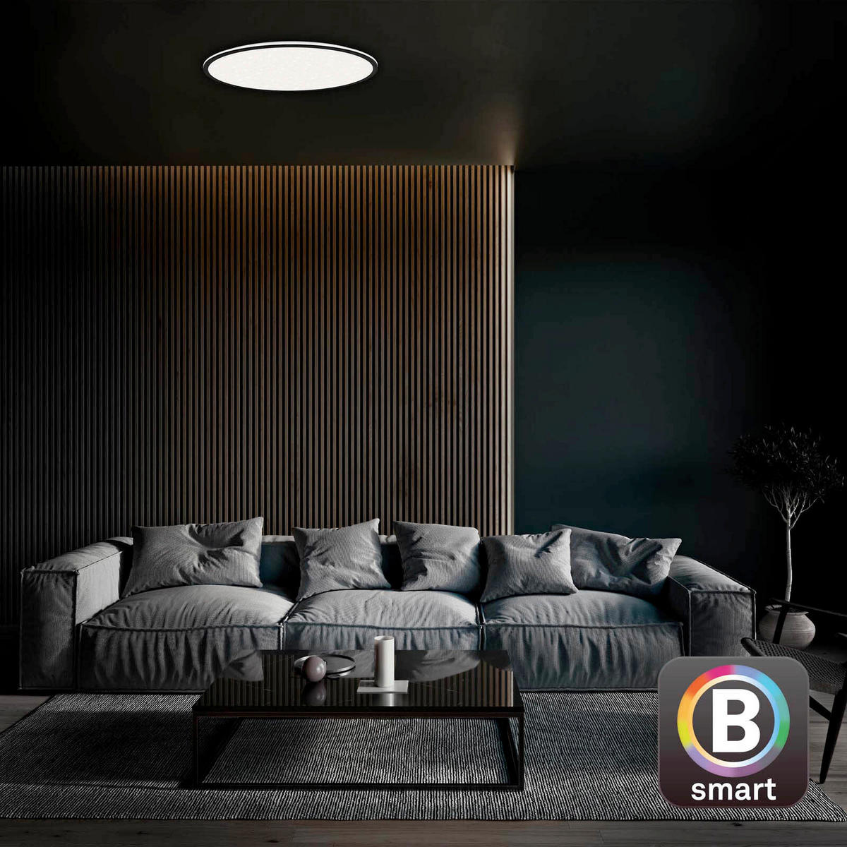 LED PLAFONJERA  - crna, Dizajnerski, metal/plastika (33,3/6,2cm)