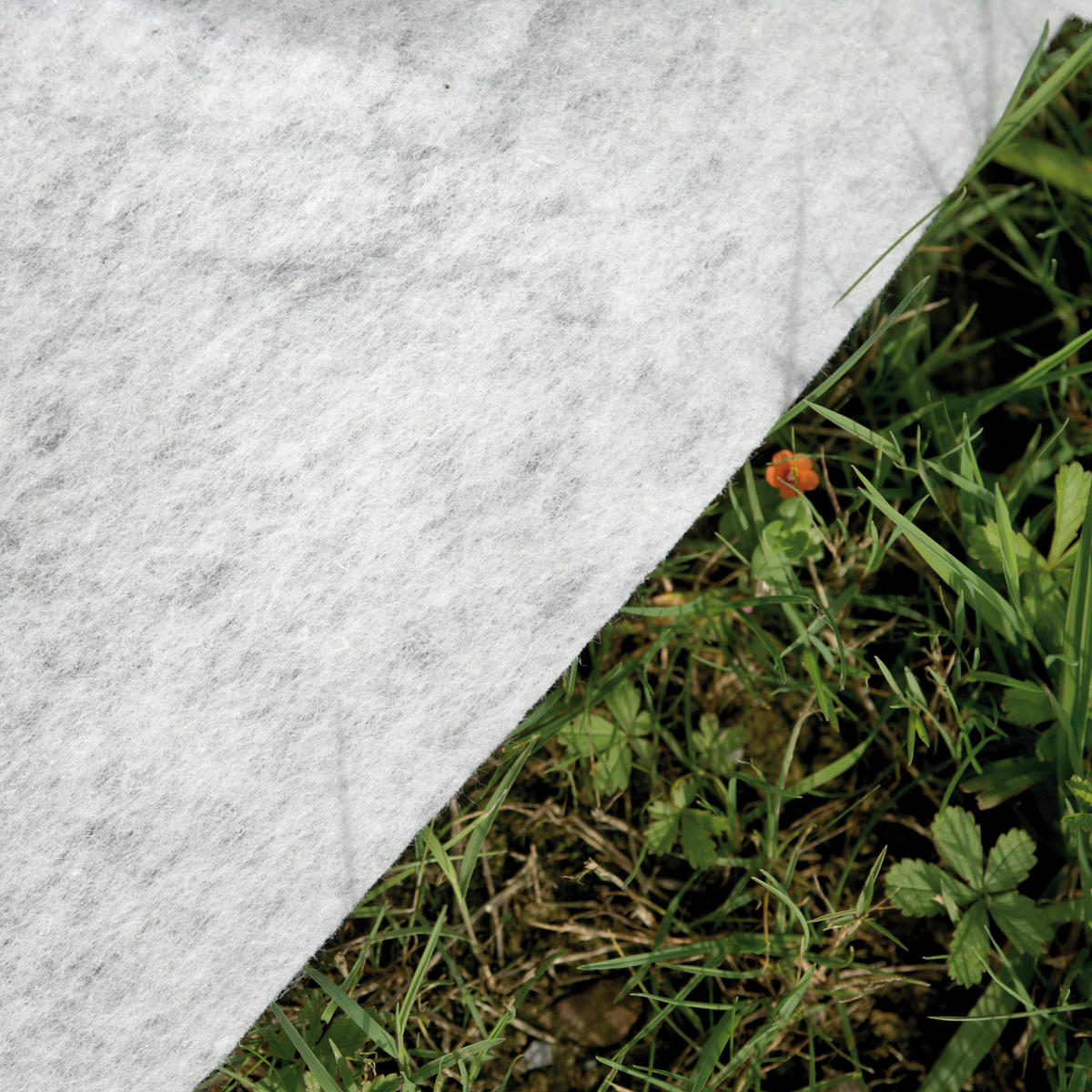 POOL-SET KPCOV52 524/386/124 cm  - Grau, KONVENTIONELL, Holzwerkstoff (524/386/124cm) - Gre