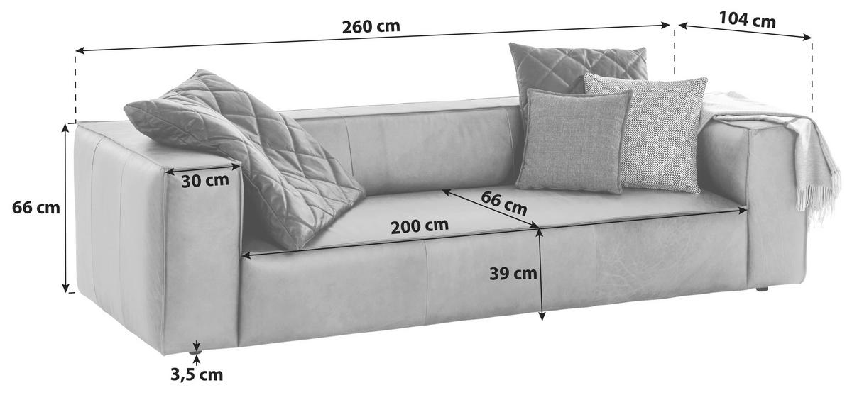 3-SITZER-SOFA Echtleder Fango  - Fango/Schwarz, MODERN, Leder/Kunststoff (260/66/104cm) - Chilliano