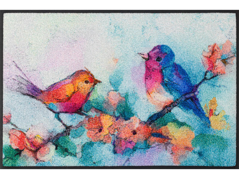 COVORAș DE INTRARE 50/75 cm  - multicolor, Konventionell, plastic/textil (50/75cm) - wash+dry