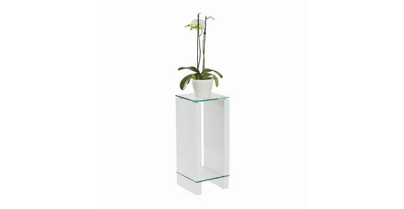 BLUMENTISCH Glas, Holzwerkstoff  - Klar/Weiß, Design, Glas/Holzwerkstoff (25/25/60cm) - Carryhome