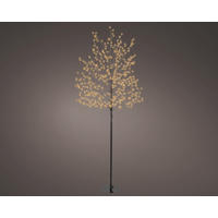 Pom Decorativ - Basics (60,00/60,00/150,00cm)