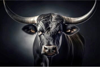 Euroart Aluminiumbild Black Bull II Mehrfarbig 120x80x2 cm