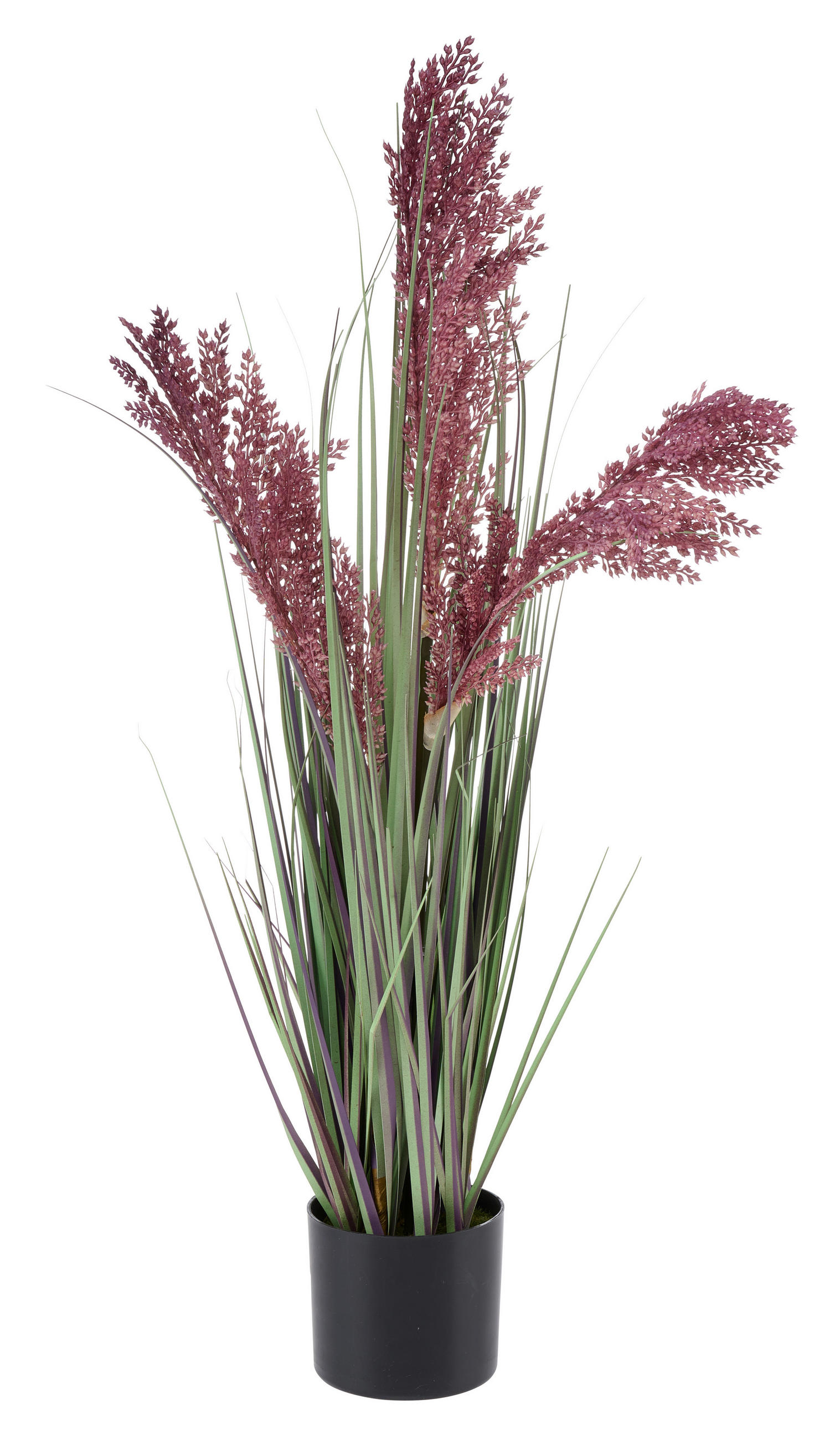 DEKORAČNÍ TRÁVA, 68 cm - zelená/fialová, Basics, kov/plast (68cm) - Ambia Home