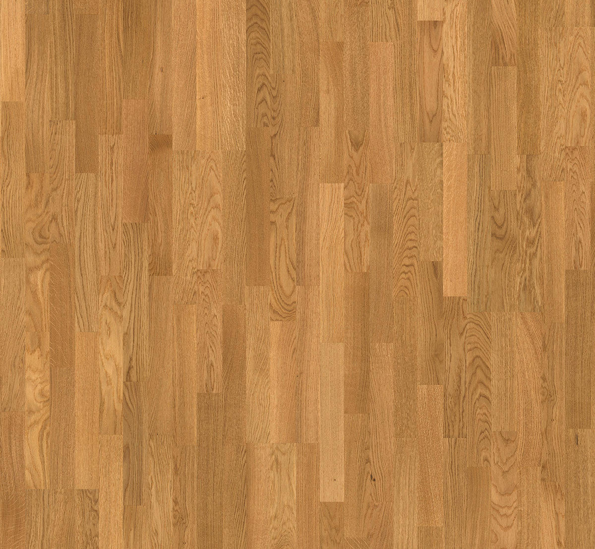PARKETTBODEN Parkett Basic 11-5 Natur  per  m² - Eichefarben, Basics, Holz (220/18.5/1.15cm) - Parador