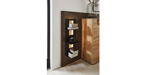 HIGHBOARD 197,1/105,6/46,9 cm - Eichefarben/Rostfarben, Design, Glas/Holz (197,1/105,6/46,9cm) - Dieter Knoll