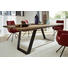 JÍDELNÍ STŮL, dýhované, modřín, barvy modřínu - černá/barvy modřínu, Design, kov/dřevo (220/110/77cm) - Dieter Knoll JÍDELNÍ STŮL, dýhované, modřín, barvy modřínu - černá/barvy modřínu, Design, kov/dřevo (220/110/77cm) - Dieter Knoll
