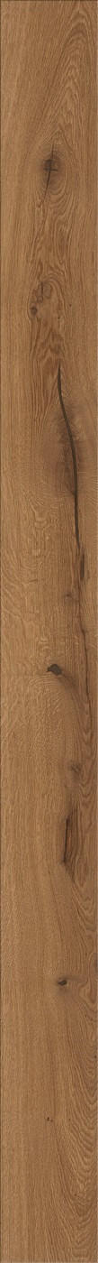 LANDHAUSDIELE, Eiche Verona  per  m² - Eichefarben, LIFESTYLE, Holz (220,5/17,6/1,2cm) - Waldwelt