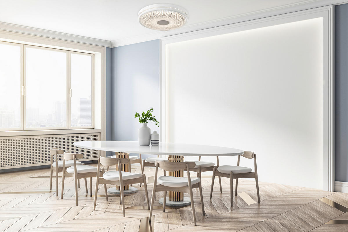 LED-DECKENLEUCHTE 51/8,5 cm   - Klar/Weiß, KONVENTIONELL, Kunststoff/Metall (51/8,5cm) - Näve