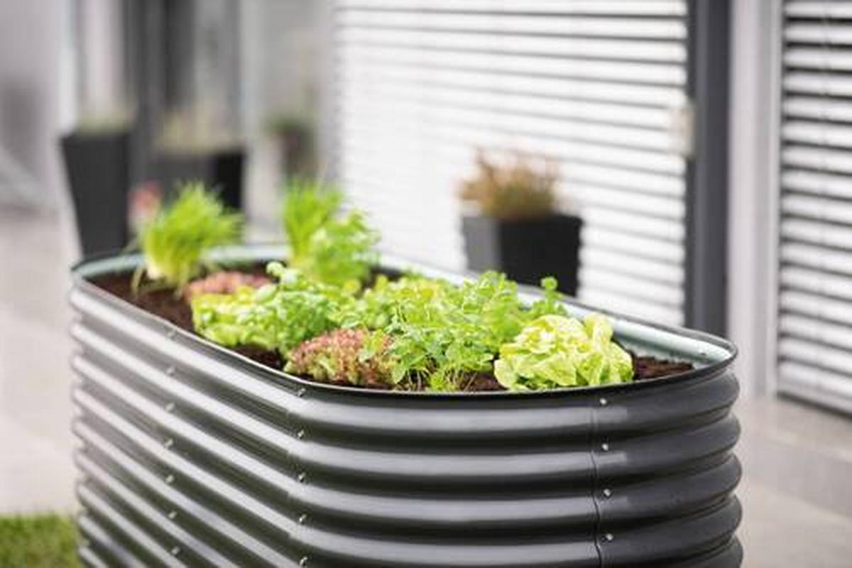 HOCHBEET  - Anthrazit, Basics, Metall (240/82/80cm) - Ambia Garden