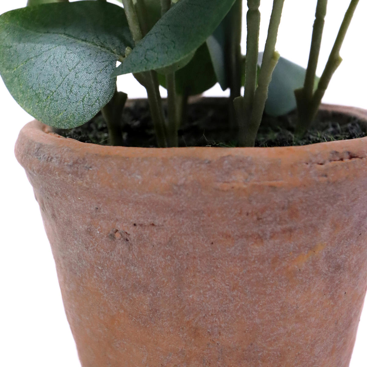 KUNSTPFLANZE Eukalyptus  - Bronzefarben/Grün, MODERN, Kunststoff (20/48/20cm) - MID.YOU