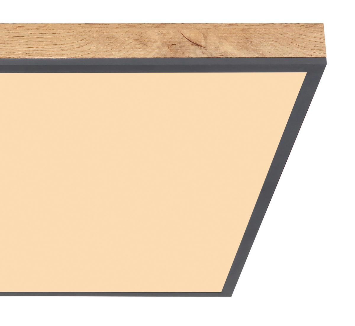 LED-PANEEL 59/59/6,5 cm  - Opal/Graphitfarben, Basics, Kunststoff/Metall (59/59/6,5cm) - Globo