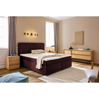 BOXSPRINGBETT 160/200 cm  in Beere  - Beere/Schwarz, Design, Holzwerkstoff/Kunststoff (160/200cm) - Xora
