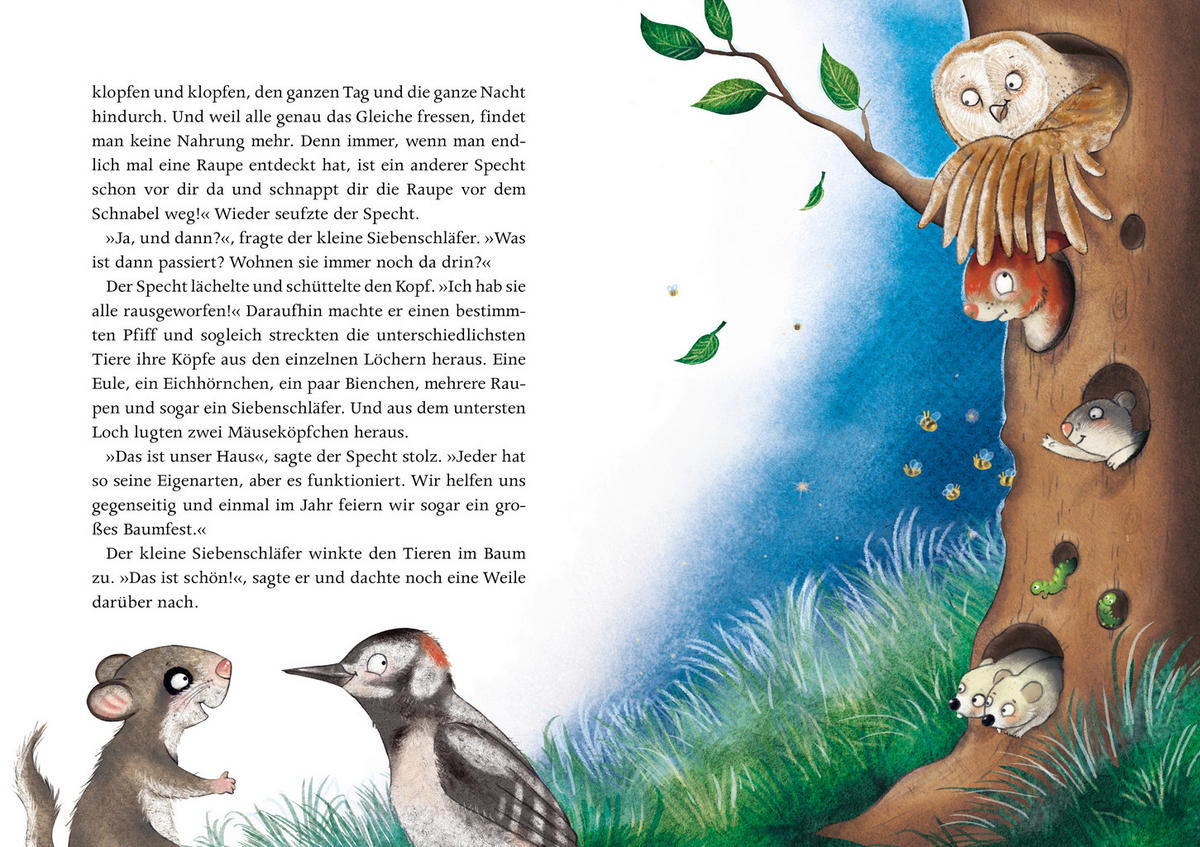 BUCH - Basics (17,6/24,6/1,8cm)