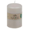 STUMPENKERZE  - Honig, Basics, Naturmaterialien (6,7/10cm)