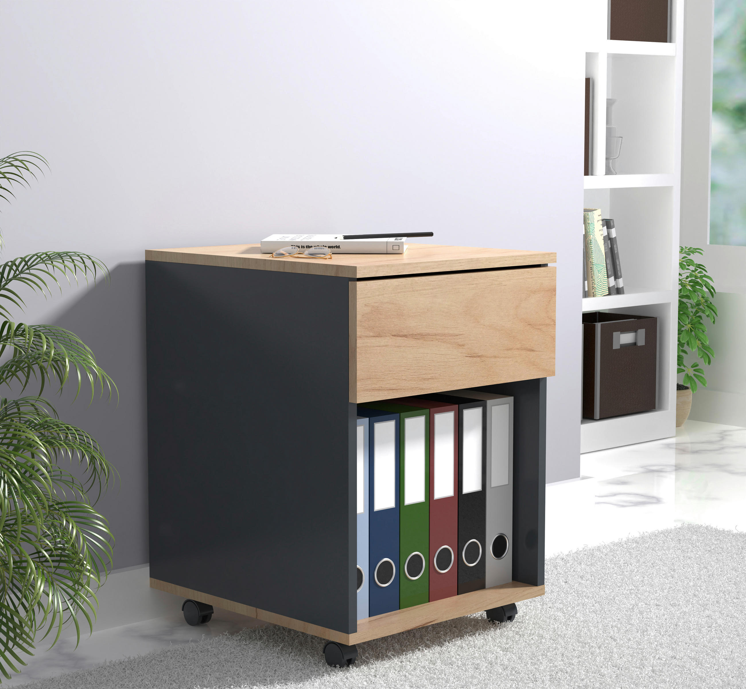 ROLLCONTAINER Anthrazit, Honigeiche - Honigeiche/Anthrazit, MODERN, Holzwerkstoff/Kunststoff (39/55/45cm) - MID.YOU