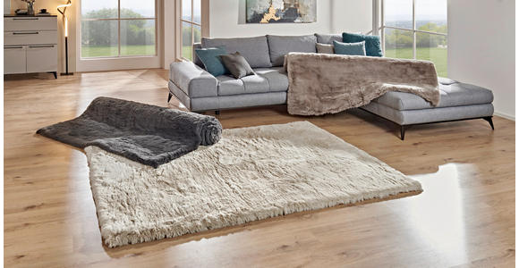 HOCHFLORTEPPICH 60/110 cm Yogi Taupe - Taupe, Design, Textil (60/110cm) - Novel