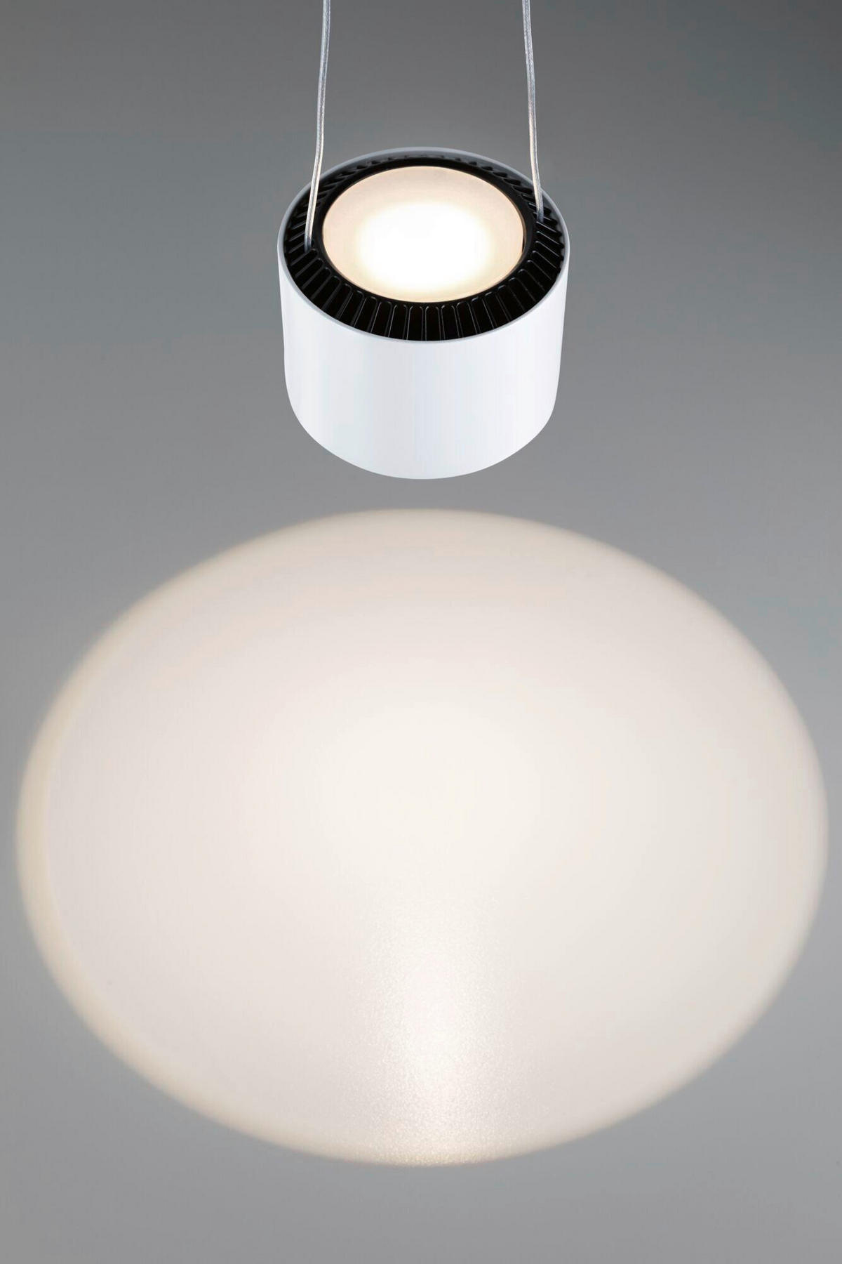 SCHIENENSYSTEM-HÄNGELEUCHTE - Basics (20-150/9,8/8,5cm) - Paulmann
