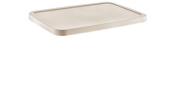 DECKEL - Braun, Basics, Kunststoff (28/38,5cm) - Homeware