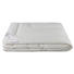 GANZJAHRESDECKE 200/200 cm - Champagner, Basics, Naturmaterialien/Textil (200/200cm) - Schlafmond GANZJAHRESDECKE 200/200 cm - Champagner, Basics, Naturmaterialien/Textil (200/200cm) - Schlafmond