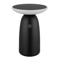 SOLÁRNÍ SVÍTIDLO 16/22,5 cm - černá/opál, Design, kov/plast (16/22,5cm) - Globo
