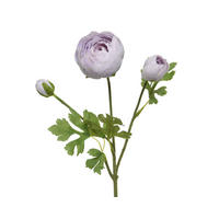 RANUNCULUS - Basics (10,00/5,00/51,00cm)