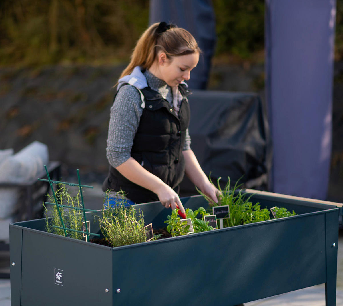 HOCHBEET  - Anthrazit, Basics, Metall (60/80/120cm) - Ambia Garden