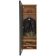 GARDEROBENSCHRANK  in 54/170/31 cm  - Eichefarben/Anthrazit, Design, Glas/Holz (54/170/31cm) - Dieter Knoll