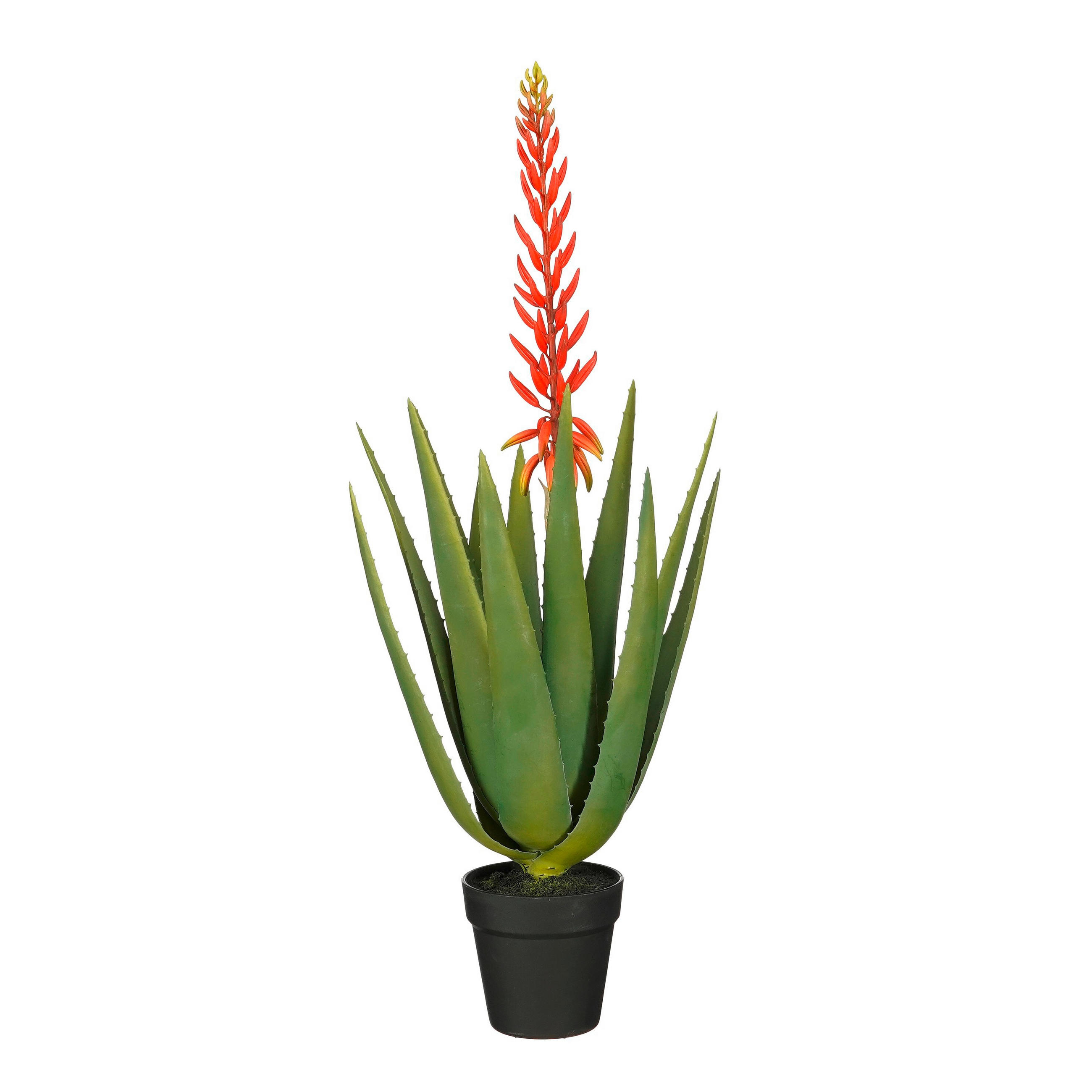 UMETNA RASTLINA - rdeča, Basics (43/82cm)