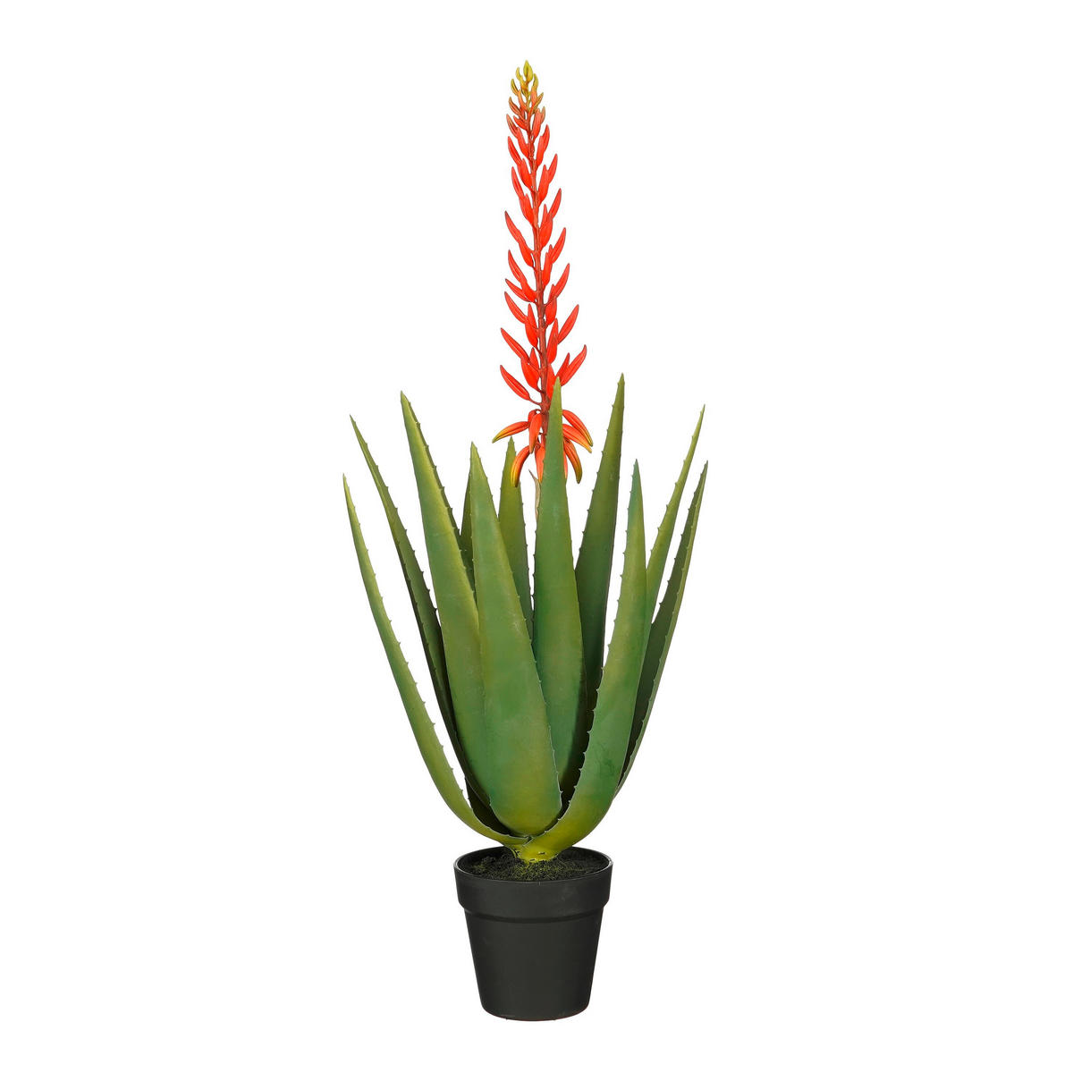 UMETNA RASTLINA - rdeča, Basics (43/82cm)