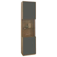 VITRINE in furniert, massiv Wildeiche Grau, Wildeiche  - Wildeiche/Silberfarben, Design, Glas/Holz (50/204/40cm) - Waldwelt