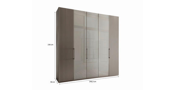 DREHTÜRENSCHRANK 250/236/58 cm 5-türig Hellgrau - Schieferfarben/Hellgrau, Design, Glas/Holzwerkstoff (250/236/58cm) - Novel