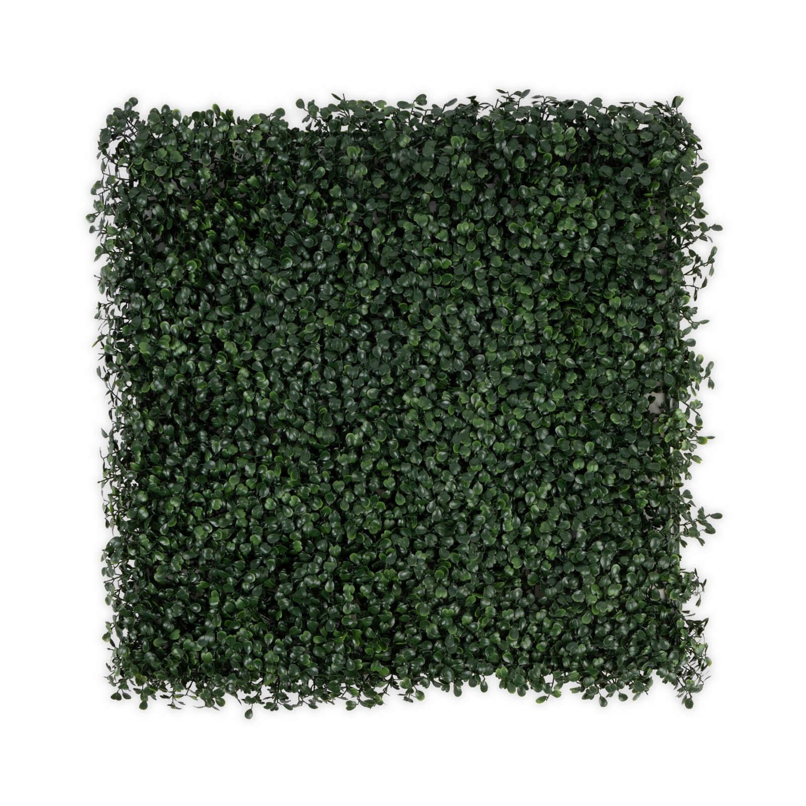 Wandverkleidung Pflanzenwand  Kunststoff  - Jadegrün, Trend, Kunststoff (50/50cm) - Floordirekt