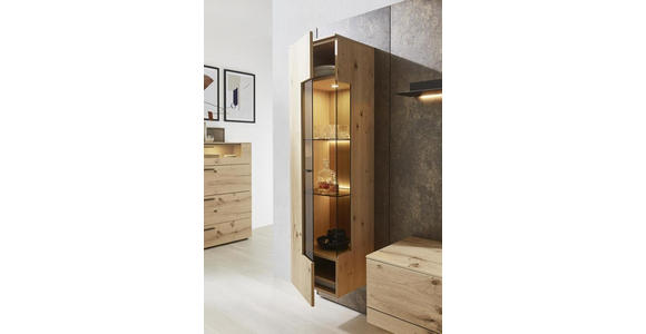 WOHNWAND 307/213,2/47,2-55,2 cm in Anthrazit, Eichefarben, Rostfarben - Eichefarben/Rostfarben, Design, Glas/Holz (307/213,2/47,2-55,2cm) - Dieter Knoll