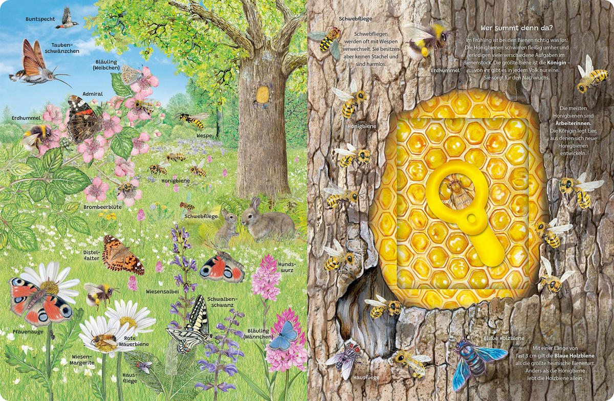 BUCH - Multicolor, Basics, Papier (24,5/32/1,4cm)