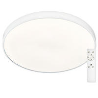 STROPNÍ LED SVÍTIDLO, 60/60/5 cm - bílá, Design, kov/plast (60/60/5cm)