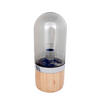TISCHLEUCHTE 14/14/33 cm   - Grau, Trend, Glas/Holz (14/14/33cm) - Kayoom