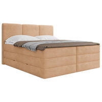 BOXSPRINGBETT 180/200 cm  in Terracotta  - Terracotta/Schwarz, Modern, Holz/Holzwerkstoff (180/200cm) - MID.YOU