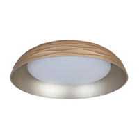 DECKENLEUCHTE 48/10 cm  - Champagner/Weiß, Trend, Kunststoff/Metall (48/10cm) - Collett's Monde