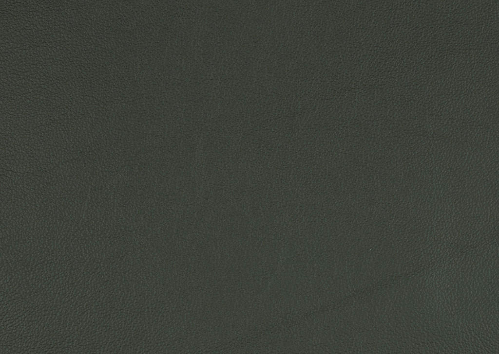 RELAXSESSEL in Leder Dunkelgrün  - Dunkelgrün/Schwarz, Design, Leder/Metall (77/119/87cm) - Valdera