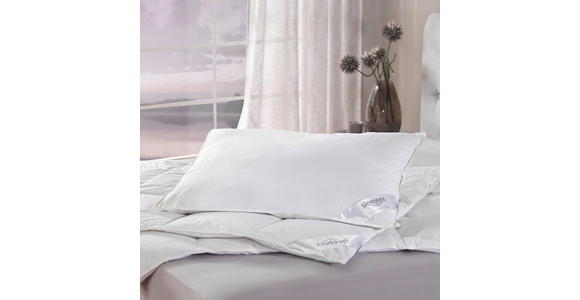 3-KAMMER-POLSTER 70/90 cm   - Weiß, Basics, Textil (70/90cm) - Sleeptex