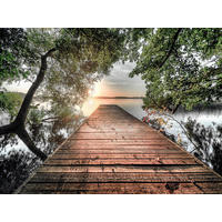 GLASBILD Bäume, Stege, Wasser 120/80 cm  - Braun/Grün, Basics, Glas (120/80cm) - Monee