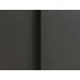 DREHTÜRENSCHRANK 101/235/61 cm,  in Graphitfarben, 2-türig  - Graphitfarben, Basics, Holzwerkstoff/Metall (101/235/61cm) - Novel