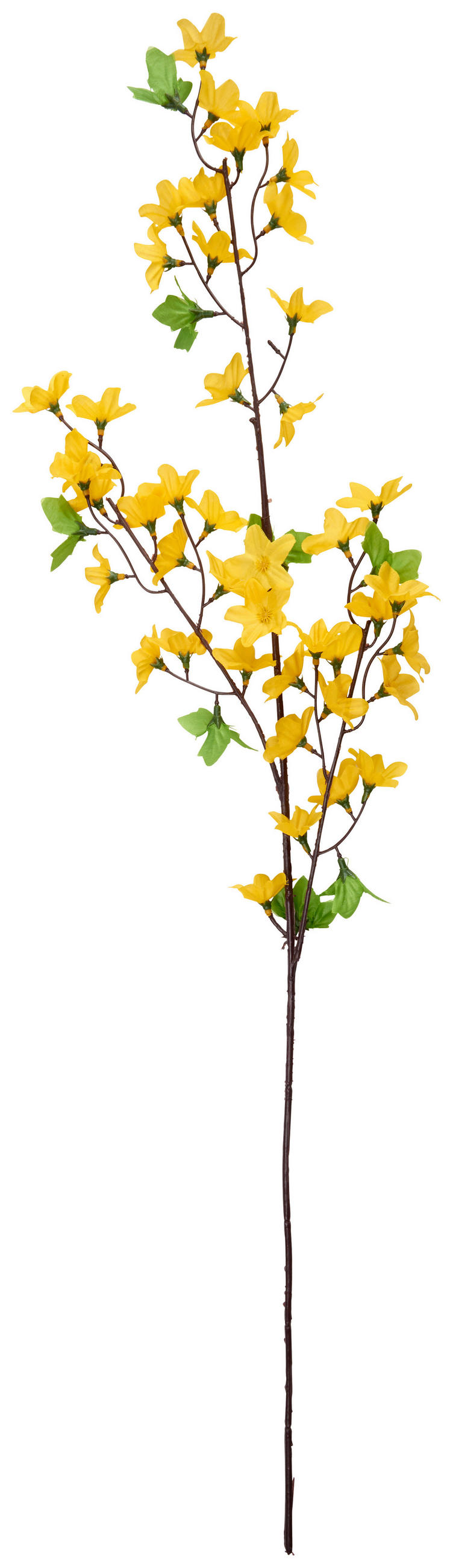 FORZICIJA - zelena/braon, Lajfstajl, tekstil/metal (79cm)