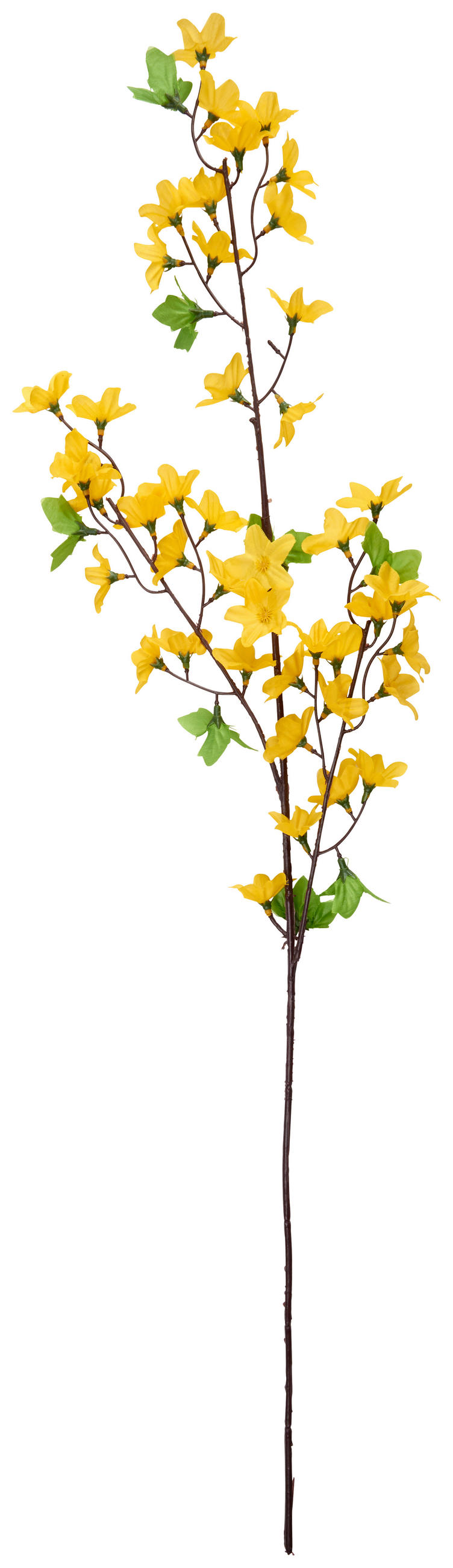 FORZICIJA - rumena/zelena, Trendi, kovina/umetna masa (79cm)