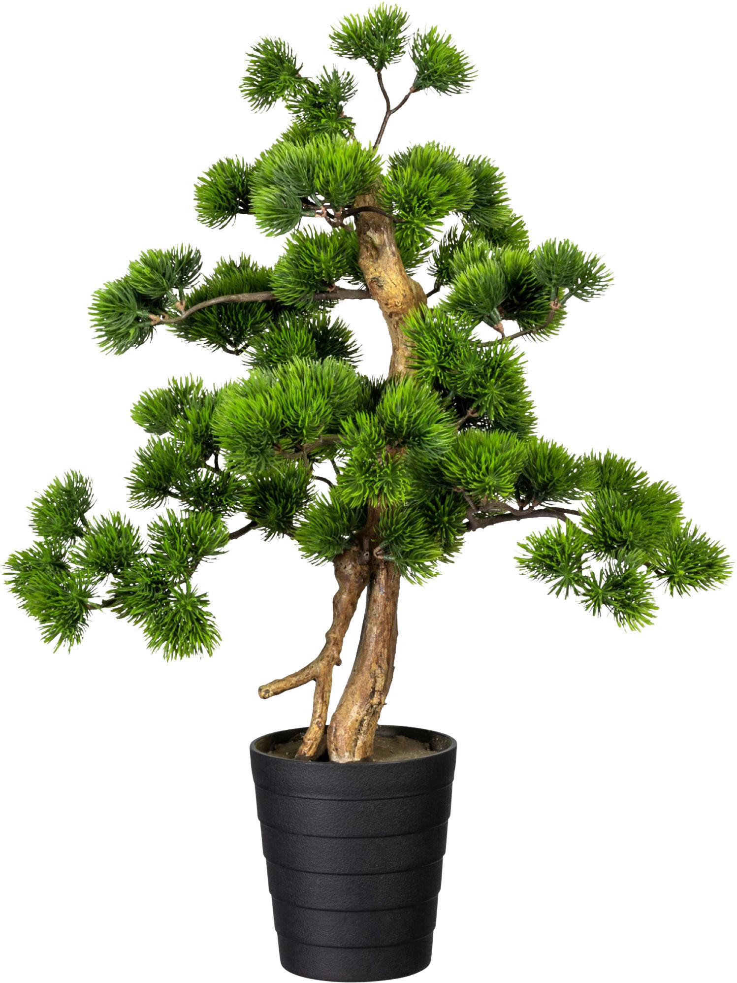 KUNSTPFLANZE Bonsai 60 cm  - Schwarz/Braun, Design, Kunststoff (60cm) - P & B