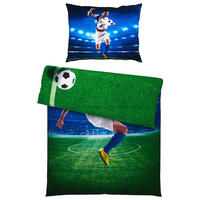 LENJERIE DE PAT PENTRU TINERE 140/200 cm  - multicolor, Konventionell, textil (140/200cm)