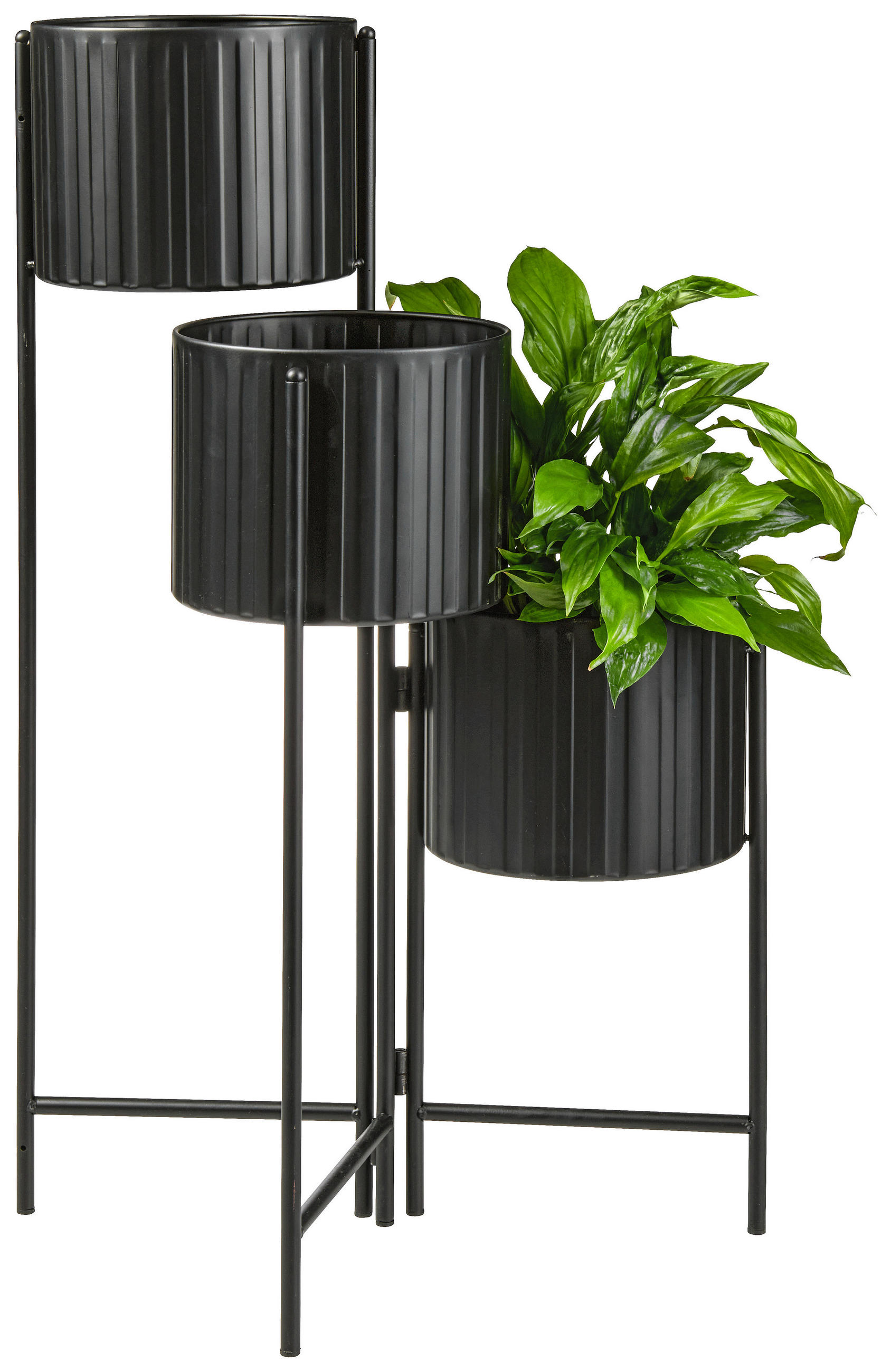 BLUMENTOPF 37/65/37 cm Schwarz  - Schwarz, Basics, Metall (37/65/37cm) - Ambia Home