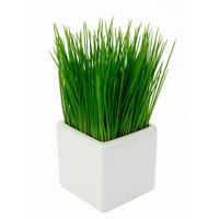 DEKOGRAS  - Grün, Basics, Kunststoff (9/22cm)