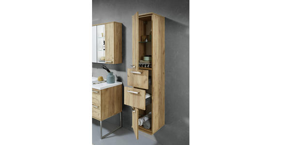 HOCHSCHRANK 35/165/37 cm  - Edelstahlfarben/Alteiche, Design, Glas/Holz (35/165/37cm) - Dieter Knoll